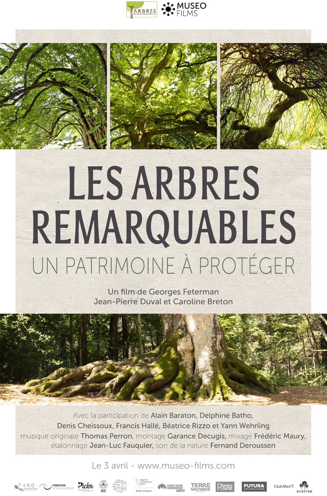 Les Arbres remarquables, un patrimoine à protéger